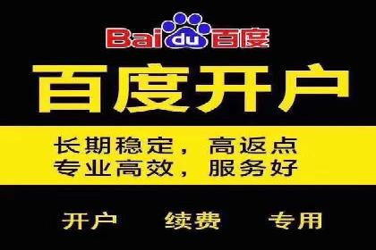 竞价托管服务案例解析